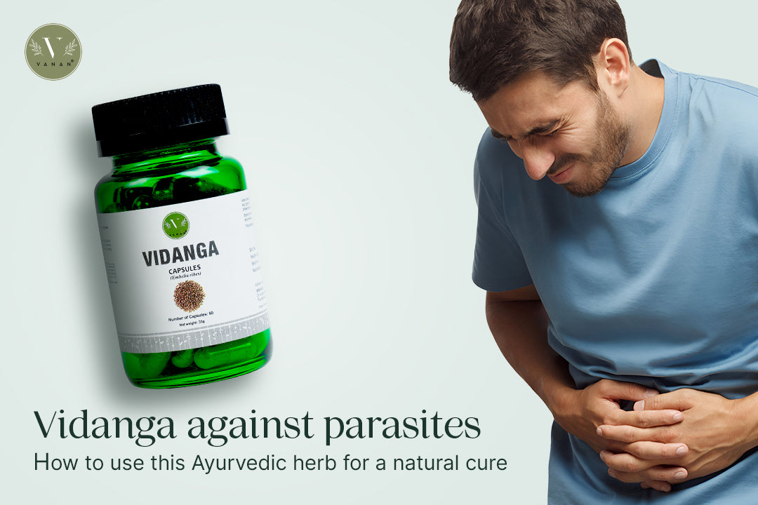 Vidanga for parasites: how to use this Ayurvedic herb for a natural cure