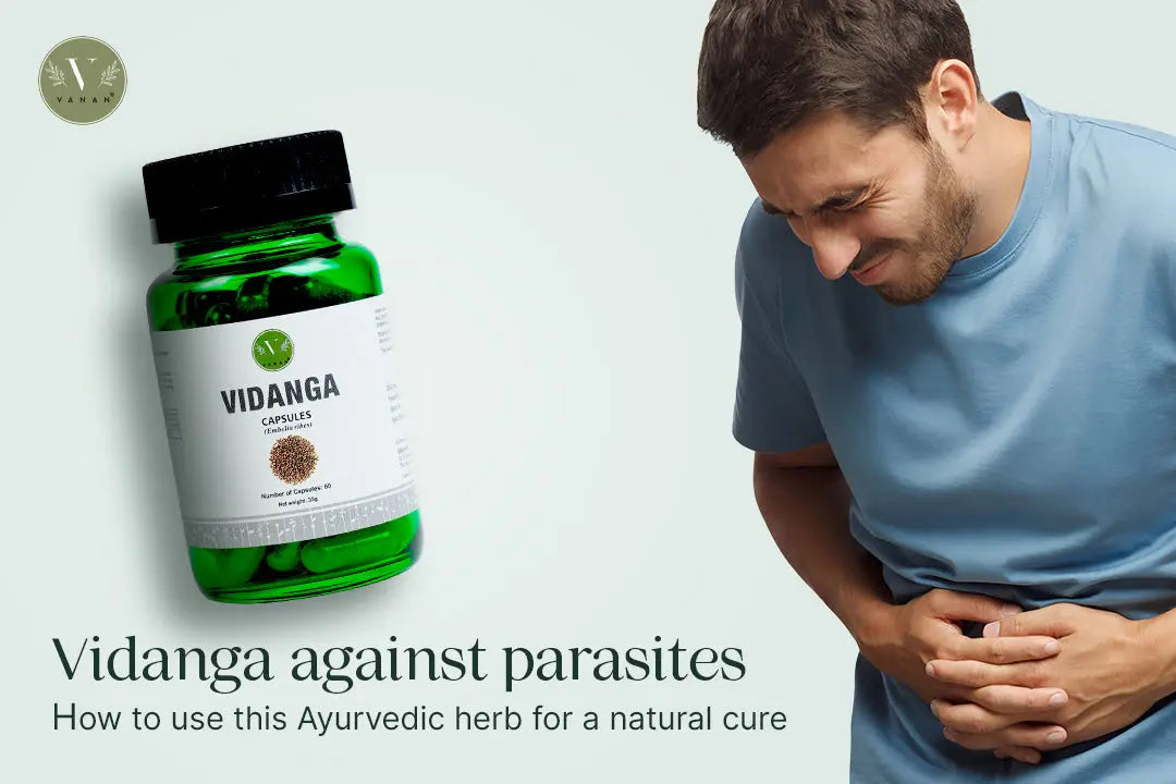 Vidanga for parasites: how to use this Ayurvedic herb for a natural cure Vanan Herbal