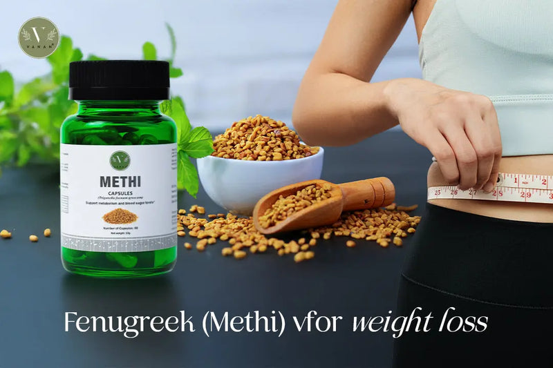 Fenugreek for weight loss: how this ancient herb naturally supports fat burning Vanan Herbal