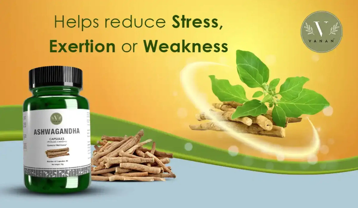 Natural stress relief – Ashwagandha from Vanan