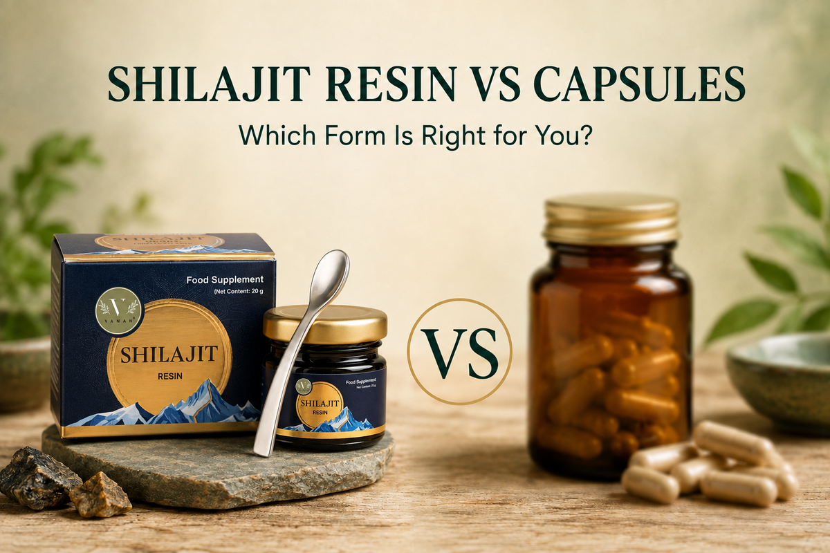 Shilajit Resin vs Capsules: Which Form Is Better? Vanan Herbal