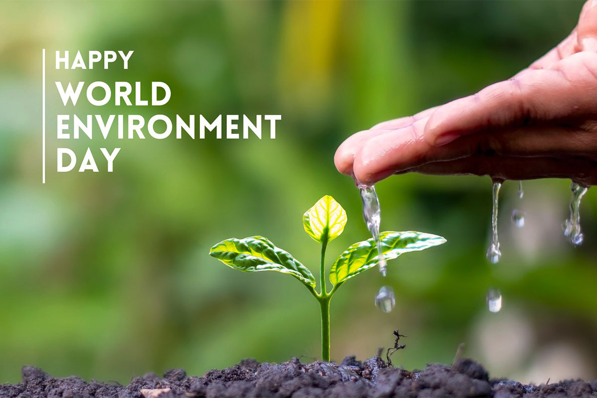 Ayurvedic Allure: Uniting Ancient Beauty and Eco-Consciousness on World Environment Day