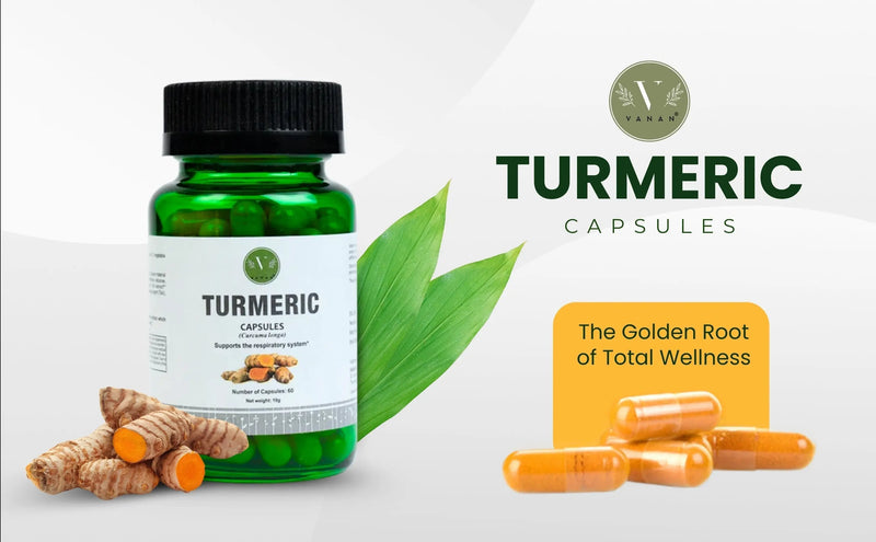What Does Turmeric Help With? A Look With Evidence Vanan Herbal