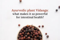 Ayurvedic plant Vidanga: what makes it so powerful for intestinal health?
