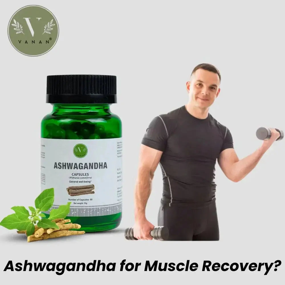 Ashwagandha for Muscle Recovery
