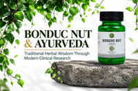 Bonduc Nut and Ayurveda: Exploring the Traditional Herb Through Modern Clinical Research
