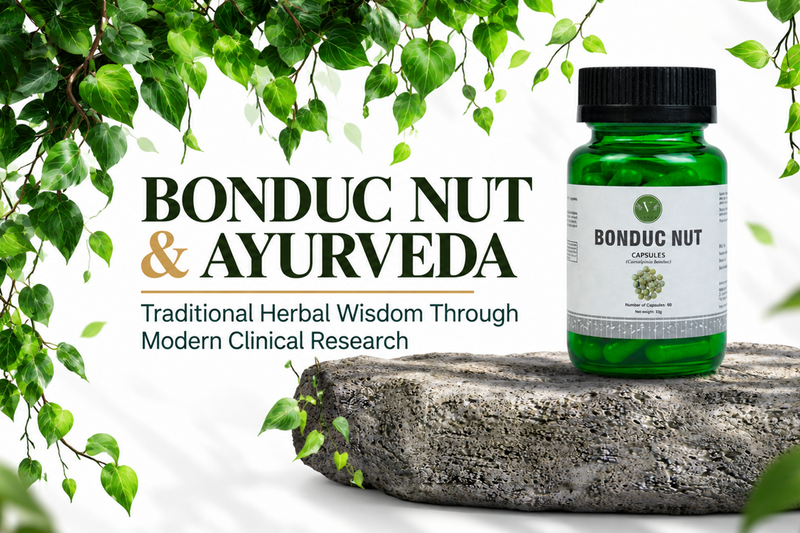 Bonduc Nut and Ayurveda: Exploring the Traditional Herb Through Modern Clinical Research Vanan Herbal