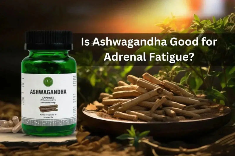 Is Ashwagandha Good for Adrenal Fatigue