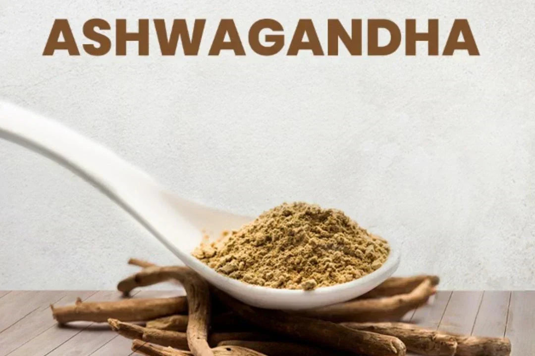 Is Ashwagandha good for hangovers