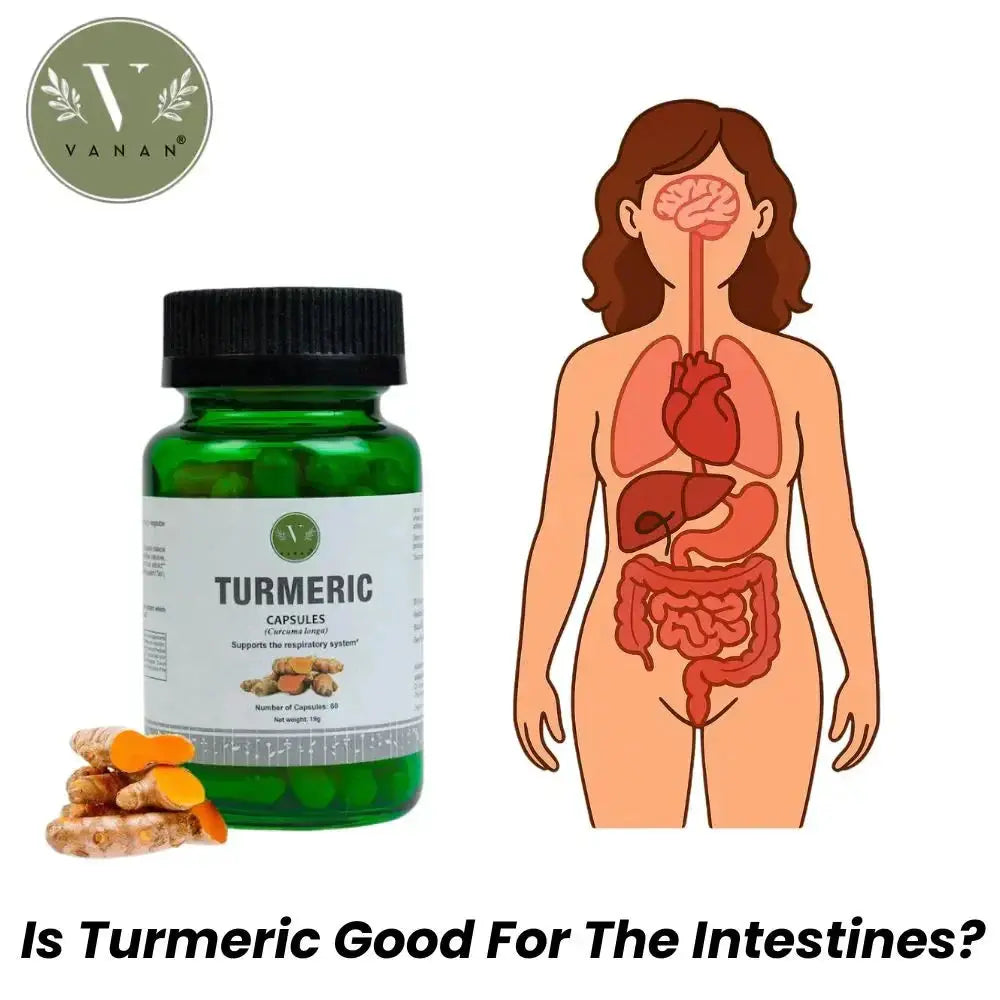 Is Turmeric Good For The Intestines