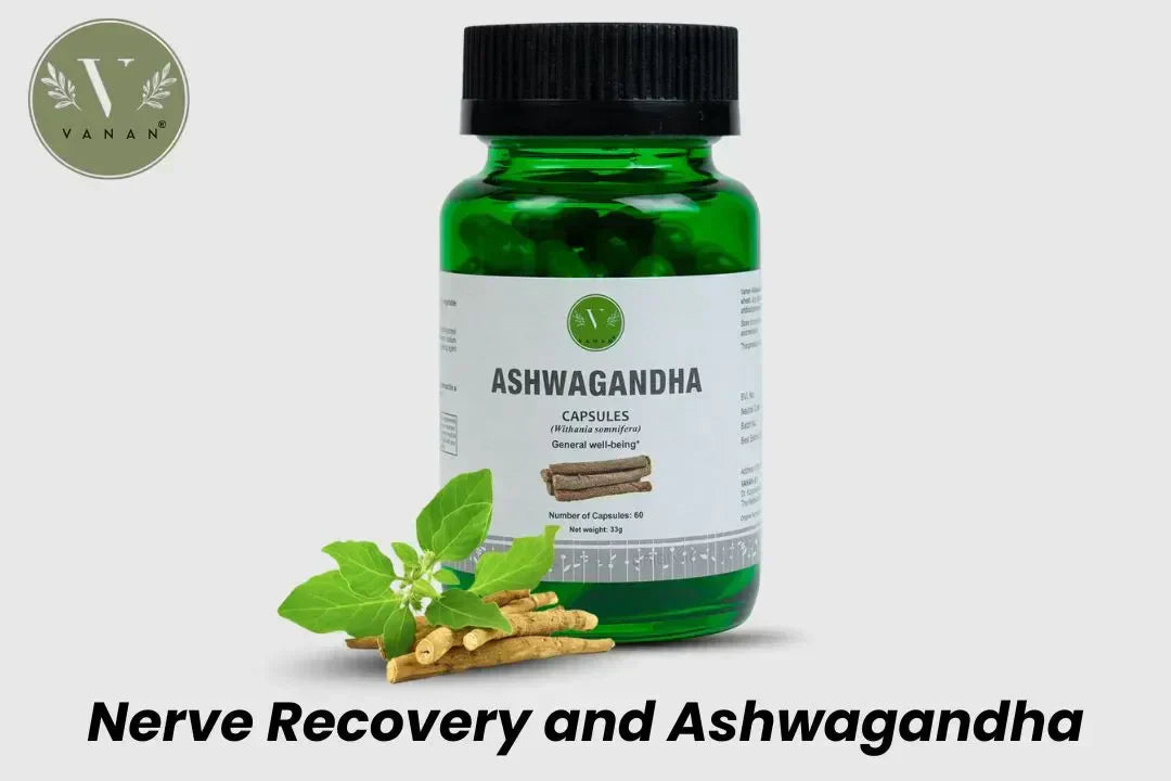 Nerve Recovery and Ashwagandha