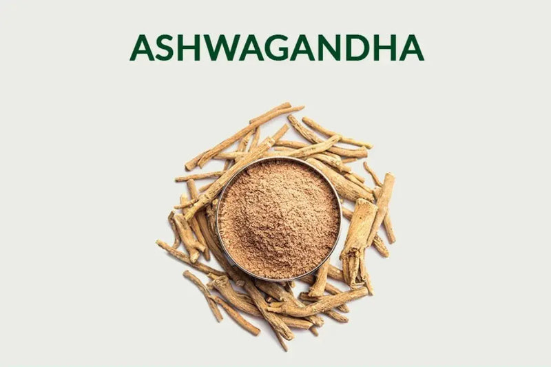 What does Ashwagandha do to the brain