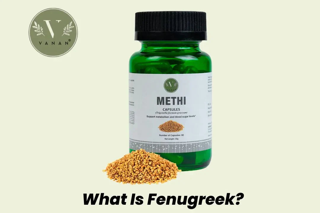 What Is Fenugreek