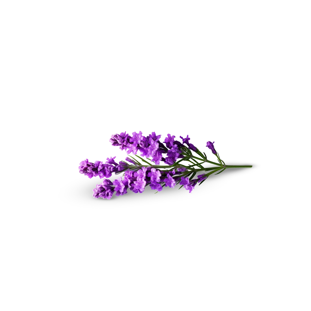 Vanan Moisturizer Lavender – 200g | Calming Hydration Cream