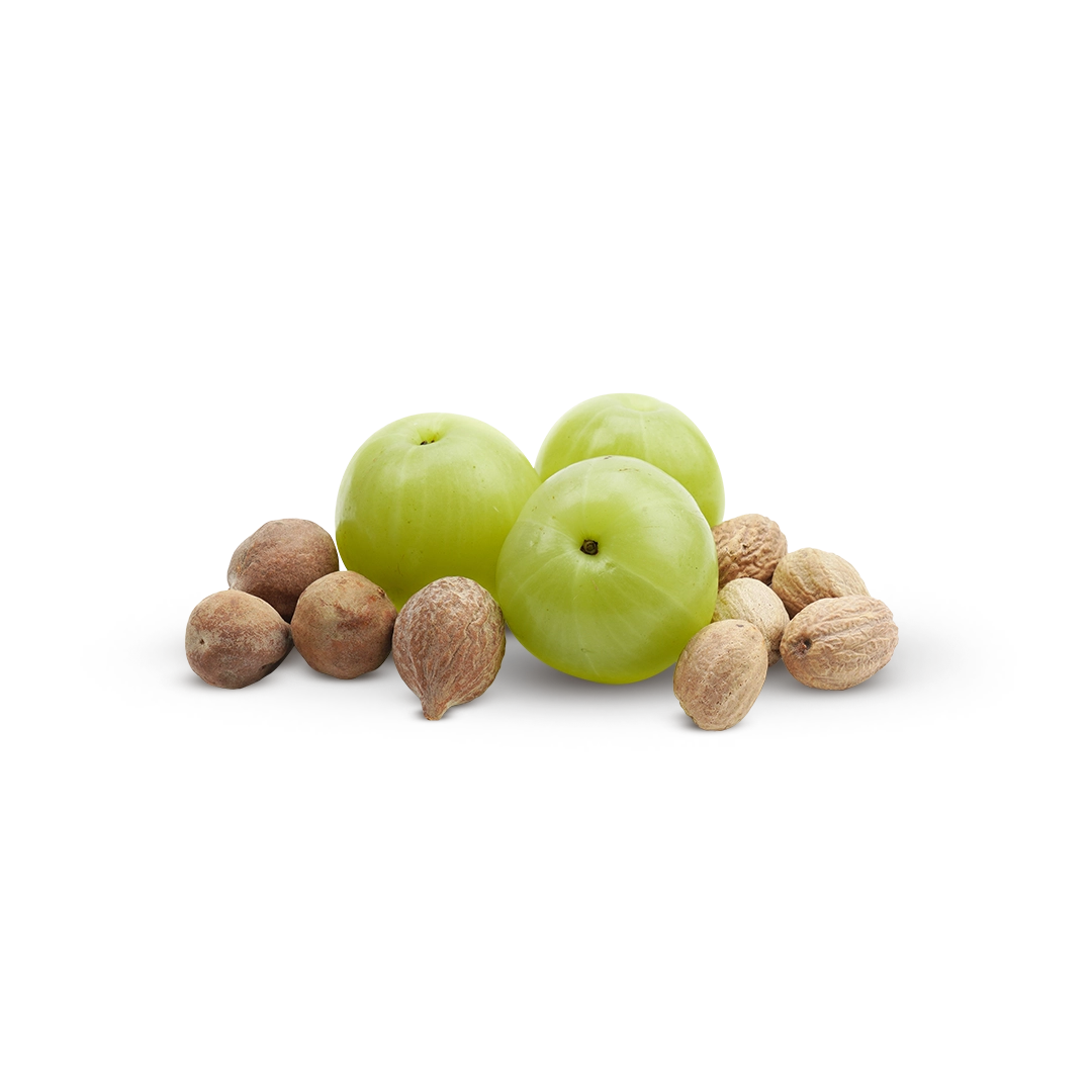 02-Triphala-Key-Ingredient