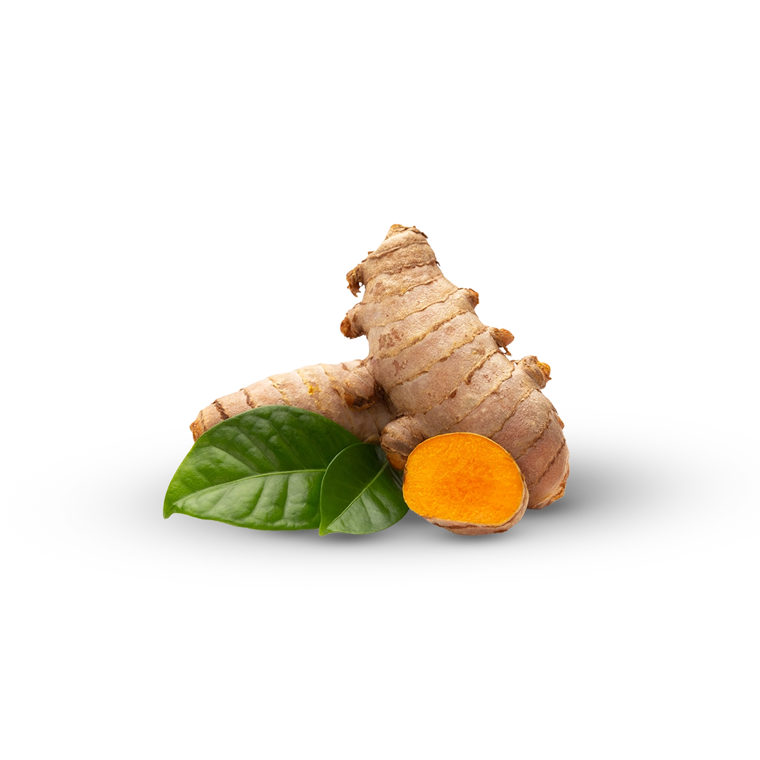 02-turmeric-key-ingredients