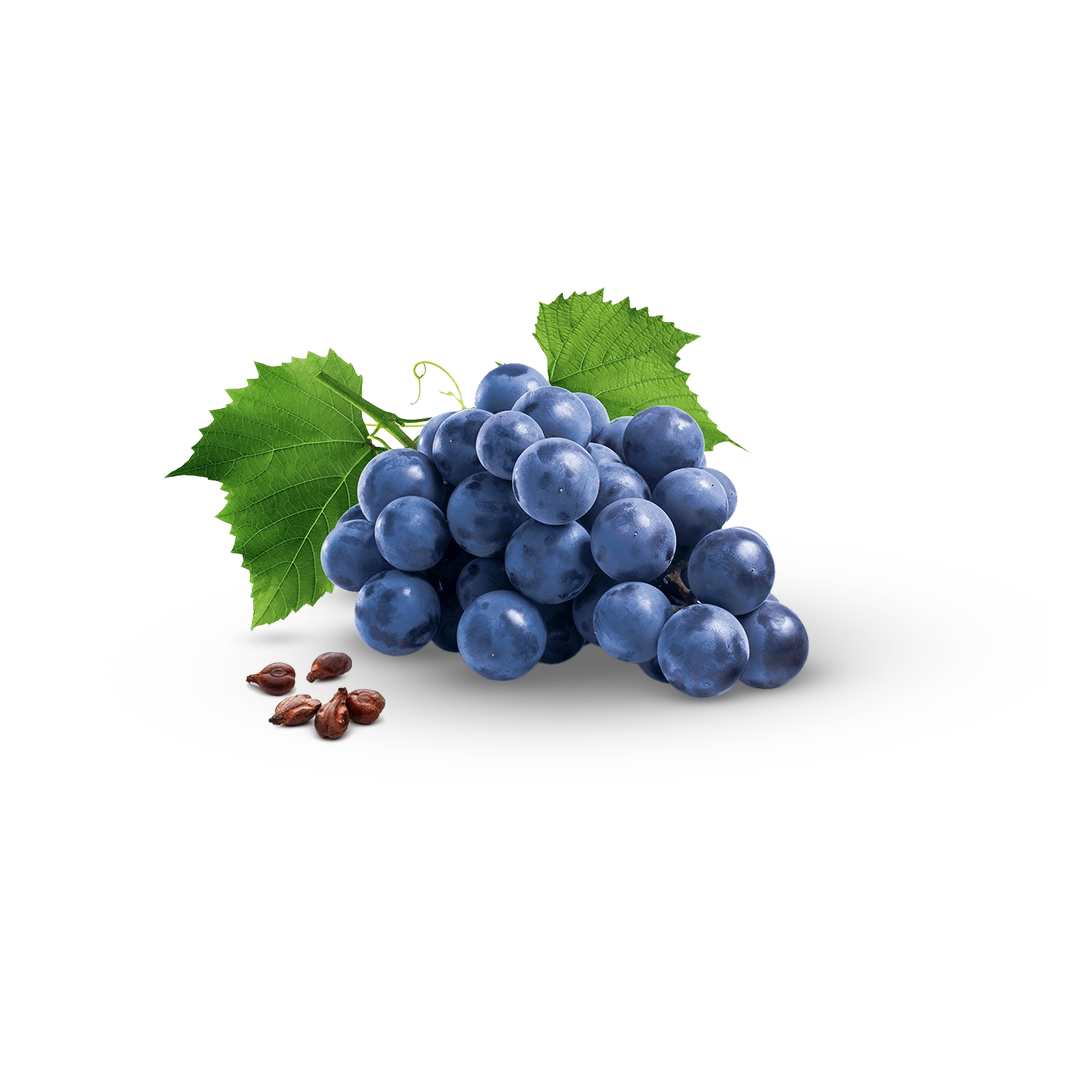 02-valina-key-ingredients