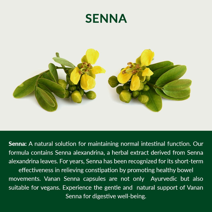 05-Senna-Description-english