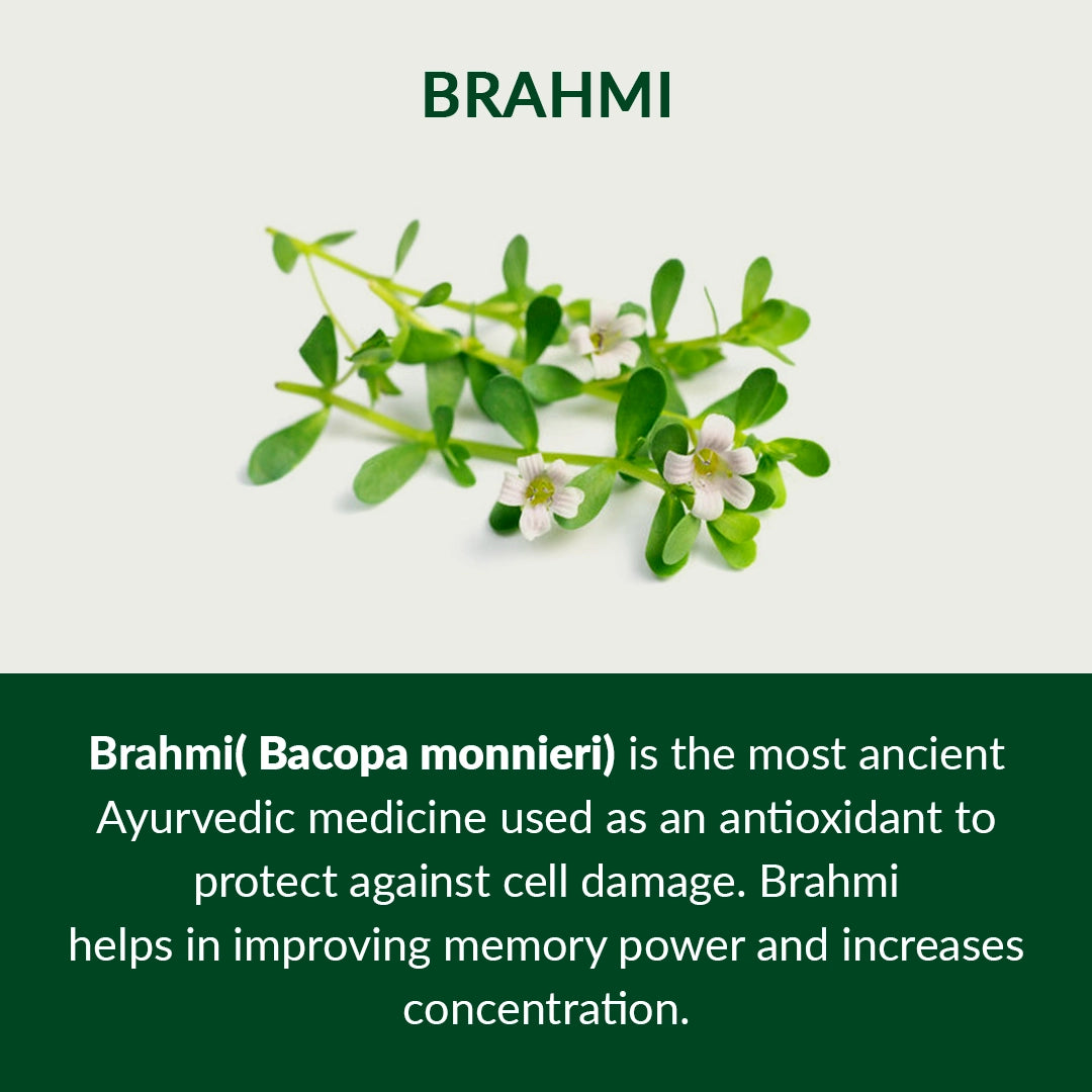 06-Brahmic-Description-english