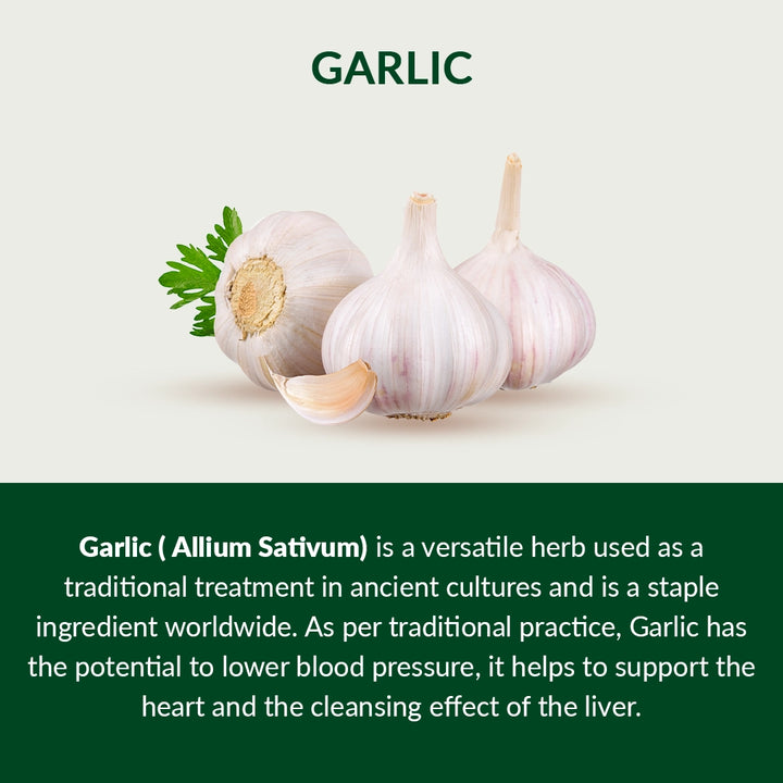 06-Garlic-Description-english