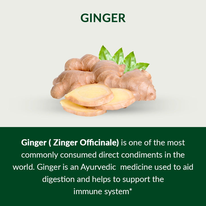 06-Ginger-Description-english