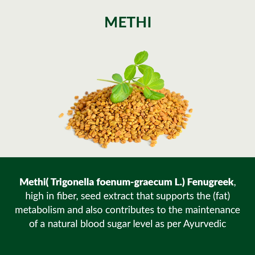 06-Methi-Description-english