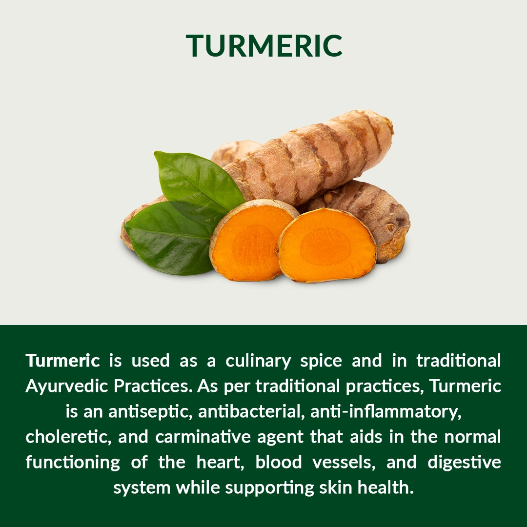 06-Turmeric-Description-english