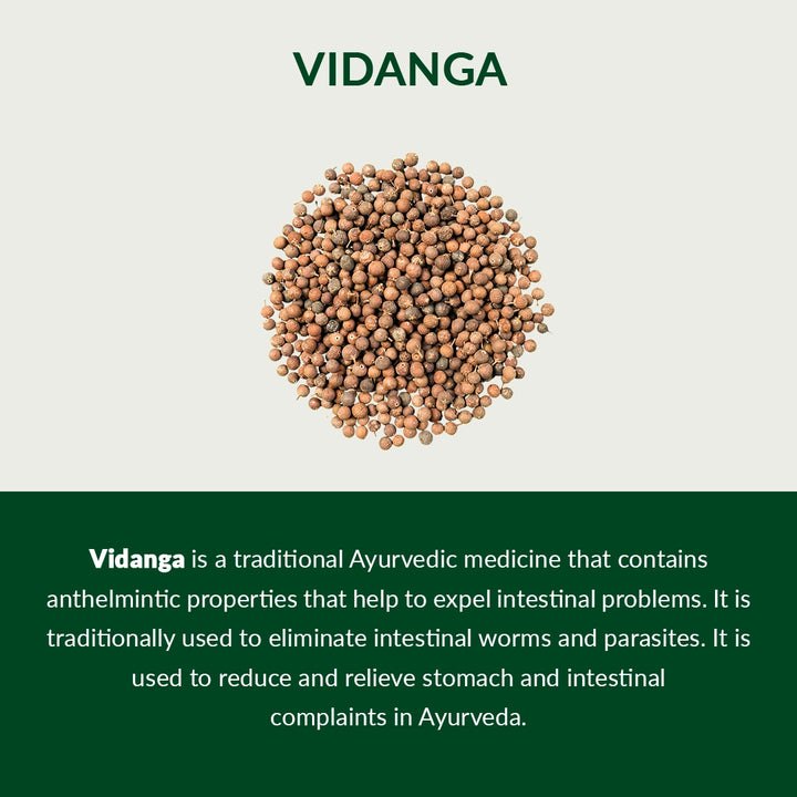 06-Vidanga-Description-english