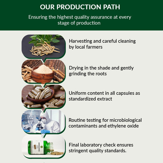 07-Ashwagandha-Our-Production-Path-english