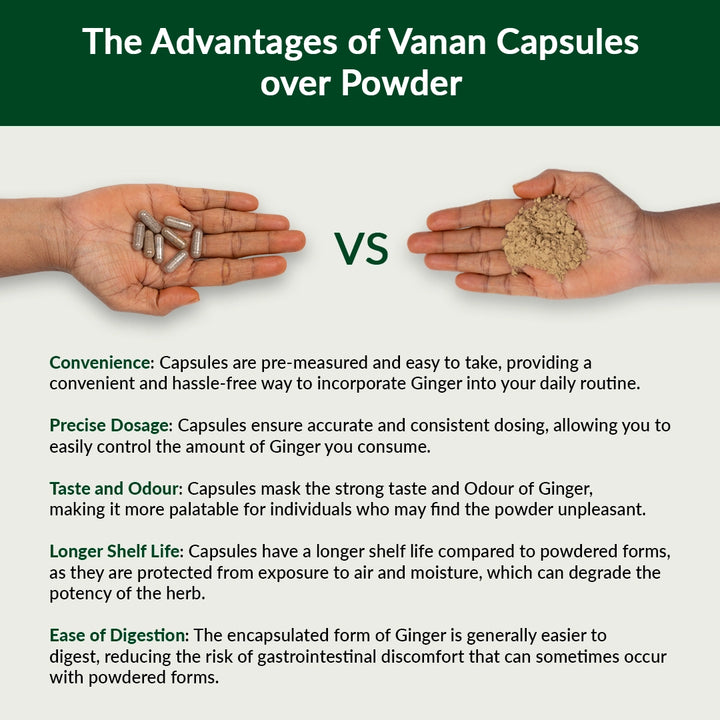 08-Ginger-Advantages-of-vanan-capsules-over-powder-english