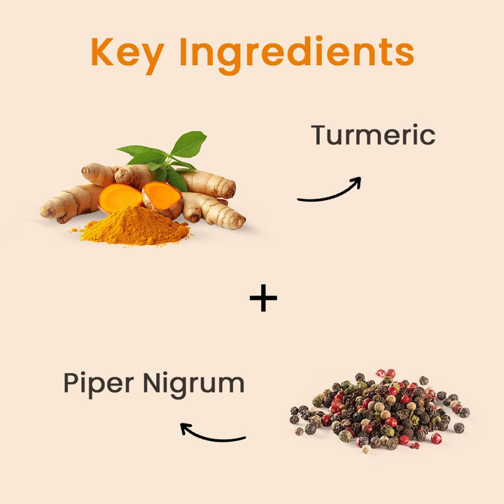 10-turmeric-lepam-key-ingredients-english