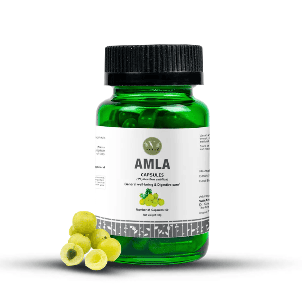 Amla Capsules | Natural Vitamin C & Immunity Support | 60 Capsules | Vanan Herbal 
