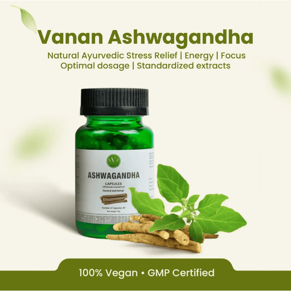 Ashwagandha Capsules | Premium Ayurvedic Herb for General Wellness | 60 Capsules | Vanan Herbal 