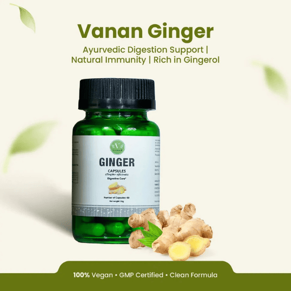 Ginger Capsules | Digestive Health & Anti-Inflammatory Support | 60 Capsules | Vanan Herbal 