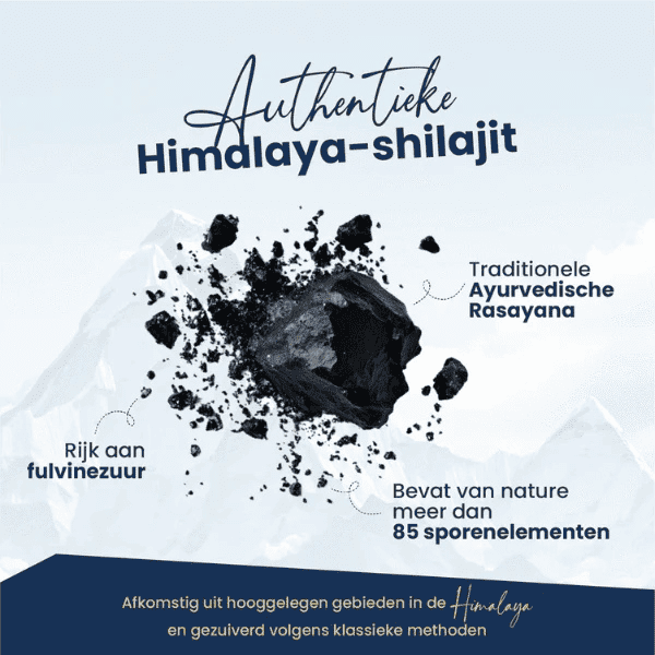 Shilajit Resin | Ayurvedic Rejuvenation & Stamina Support | Vanan Herbal 