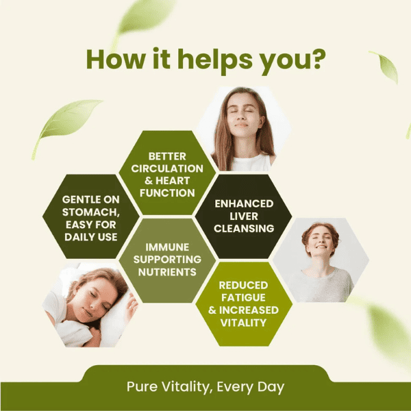 Garlic Capsules | Heart Health & Immunity Support | 60 Capsules| Vanan Herbal 