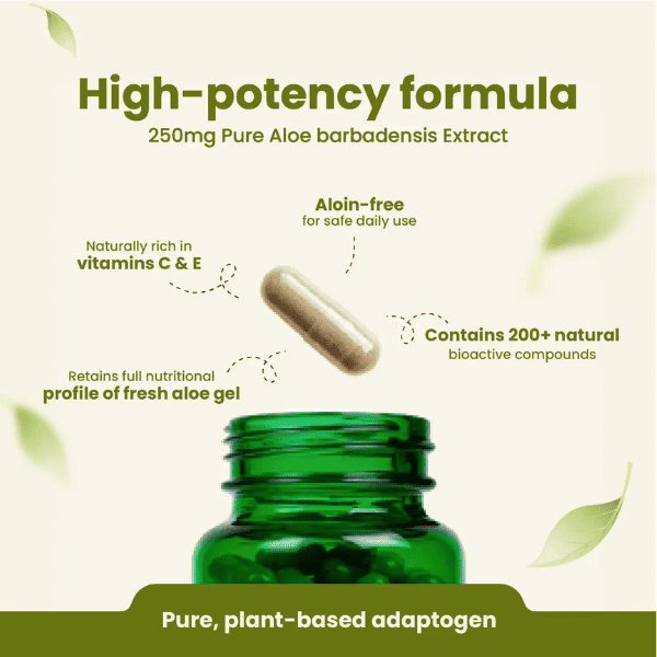Aloe Vera Capsules | Digestive Health & Skin Wellness | 60 Capsules | Vanan Herbal