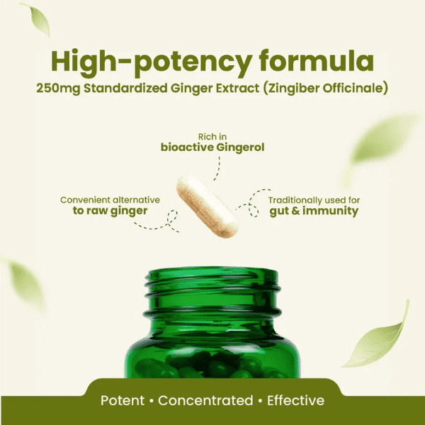 Ginger Capsules | Digestive Health & Anti-Inflammatory Support | 60 Capsules | Vanan Herbal 