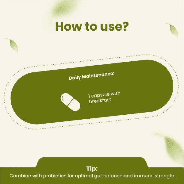 Aloe Vera Capsules | Digestive Health & Skin Wellness | 60 Capsules | Vanan Herbal
