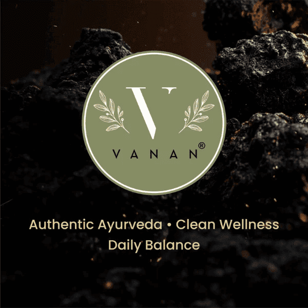 Shilajit Resin | Ayurvedic Rejuvenation & Stamina Support | Vanan Herbal 