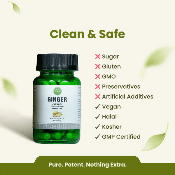 Ginger Capsules | Digestive Health & Anti-Inflammatory Support | 60 Capsules | Vanan Herbal 