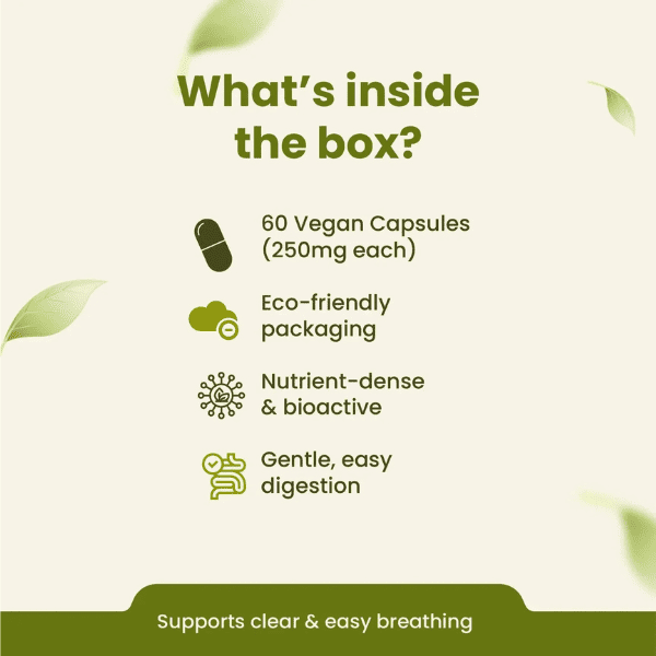 Aloe Vera Capsules | Digestive Health & Skin Wellness | 60 Capsules | Vanan Herbal
