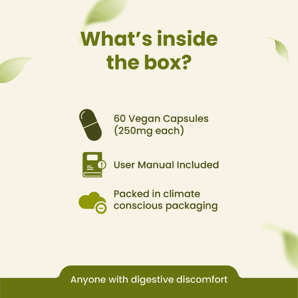 Ginger Capsules | Digestive Health & Anti-Inflammatory Support | 60 Capsules | Vanan Herbal 