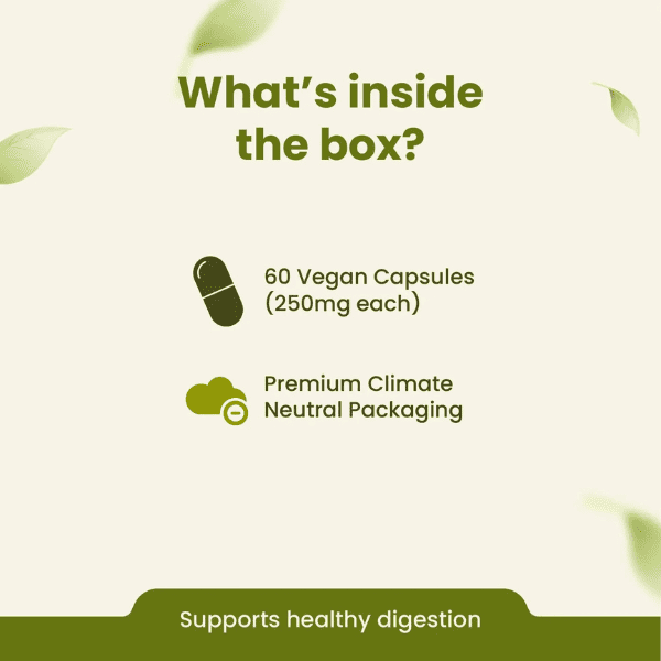 Amla Capsules | Natural Vitamin C & Immunity Support | 60 Capsules | Vanan Herbal 