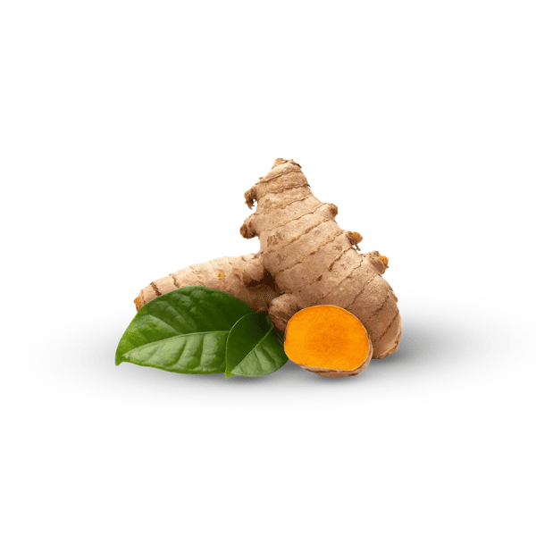 Vanan Turmeric Lepam – 15g | Brightening & Anti-Inflammatory Balm 