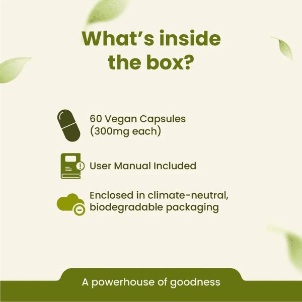 Bonduc Nut Capsules | Metabolism & Immune Health Support | 60 Capsules| Vanan Herbal 