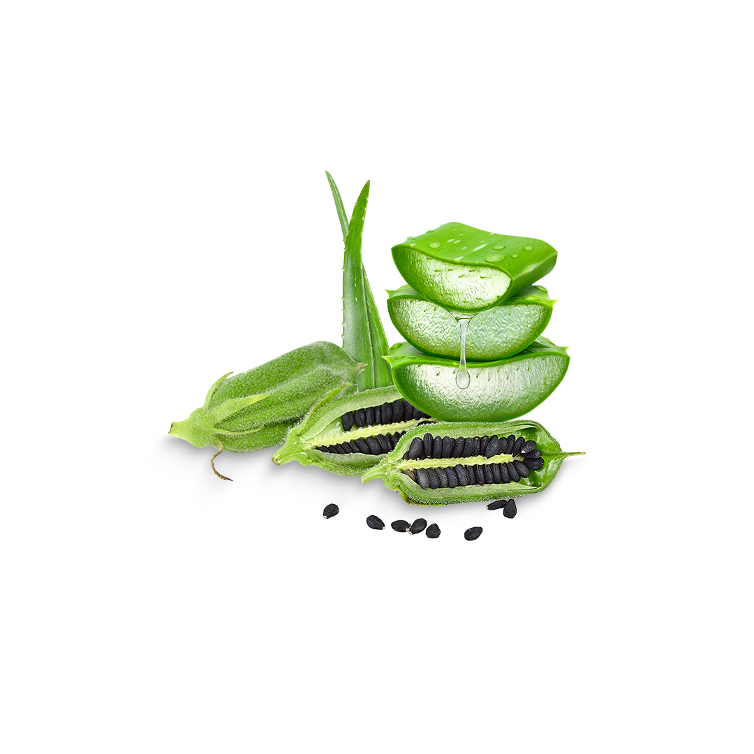 Aloe Vera Massageöl – 90 ml