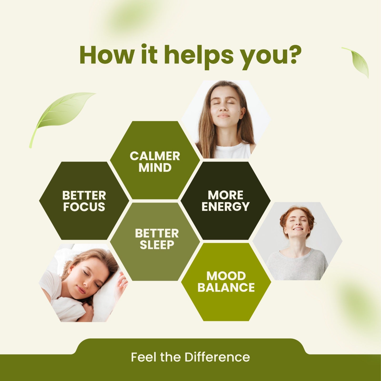 Ashwagandha Capsules | Premium Ayurvedic Herb for General Wellness | 60 Capsules | Vanan Herbal