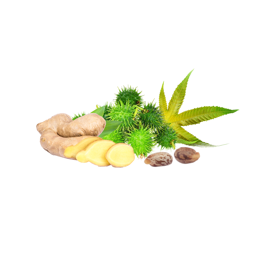 Eranda Massage Oil – 90 ml