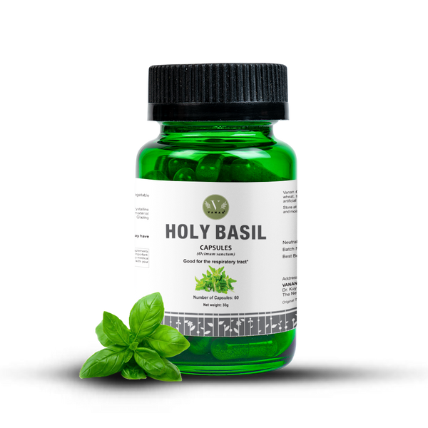 Holy Basil